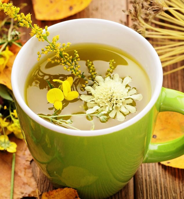 Фитотерапия в санатории - фотография