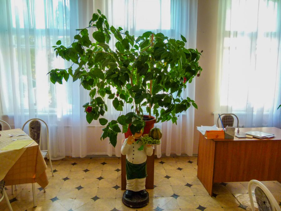 Холл в санатории Надежда в городе Ессентуки - фотография