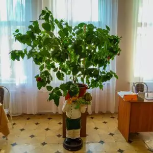 Холл в санатории Надежда в городе Ессентуки - фотография